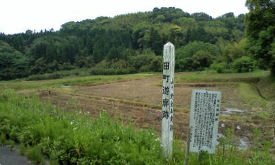 cVf